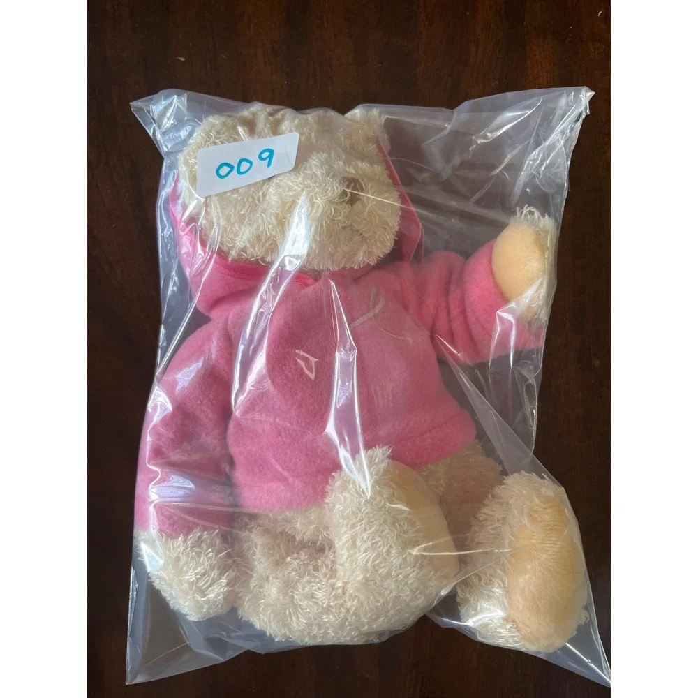 Gund Macys BreastCancer Awareness Pink Ribbon Teddy Bear Plush Pink Hoodie 44335